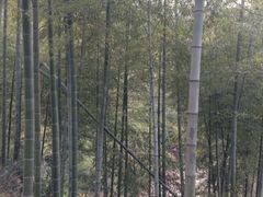 -仙山谷激浪漂流