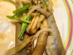 油泼特大蛏子-开海·红岛海鲜虾水饺(石老人店)