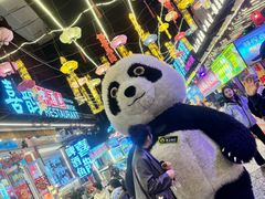 -喜鹊音乐酒馆(西街店)