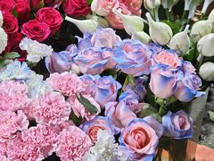 -循礼门鲜花花市(武汉循礼门店)