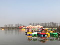 -上海长兴岛郊野公园