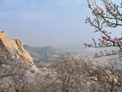 -北京凤凰岭