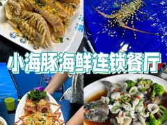 -亚龙湾热带天堂森林公园