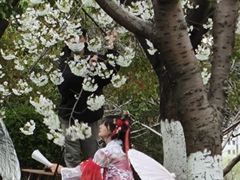 -苏州河梦清园环保主题公园