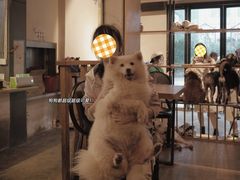 -萌喵咖啡屋(人民东路4号口M16商铺店)