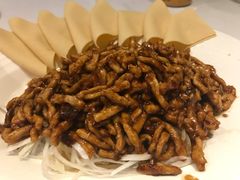 京酱肉丝-眉州东坡(民族园店)