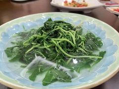 -天目馨缘