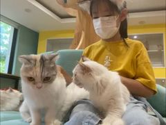 -Bastet sally猫舍购宠(静安店)