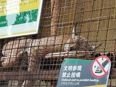 -昆明动物园