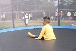 -上美四季动物农场