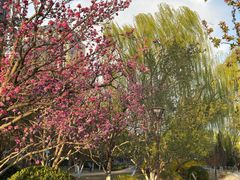 -元大都城垣遗址公园