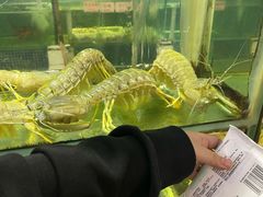 -东国海鲜火锅城(氹仔店)