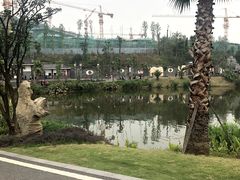 -枫香湖儿童公园