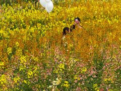 -三圣花乡旅游区