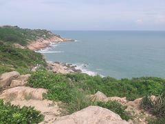 -广东惠东海龟国家级自然保护区