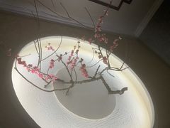 -大桶大足浴(江桥店)