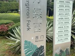 -万绿园