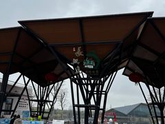 -上海长兴岛郊野公园