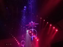 -珠海横琴长隆《卡卡虎奇遇记》