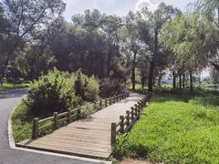 -长春市南湖公园