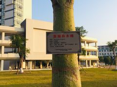 -广东财经大学(广州校区)
