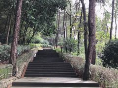 -铁山坪森林公园