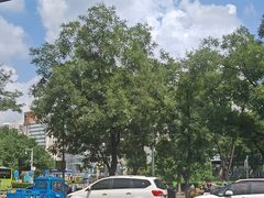 -江边城外烤全鱼(方庄时代购物中心店)