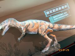 -自贡恐龙博物馆