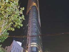 -紫峰大厦