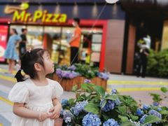 -Mr.Pizza米斯特比萨(合肥一九一二街区店)