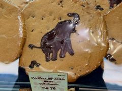 -大象粑粑造纸公园