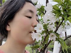 -艾溪湖湿地公园