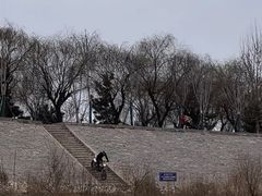 -济南百里黄河风景区