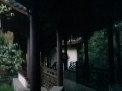 -十八棵（老龙井）御茶园(老龙井店)