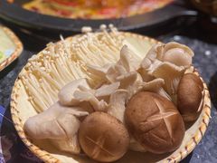 香菇-蜀大侠火锅(龙岗店)