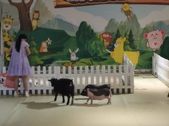 -天虹购物中心(石路店)