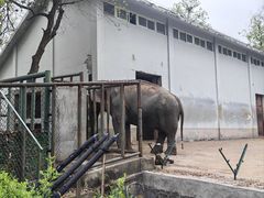 -合肥野生动物园