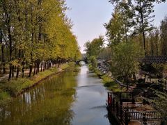 -合肥滨湖国家森林公园