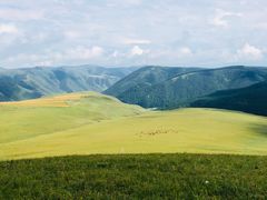 -塞罕坝国家级自然保护区