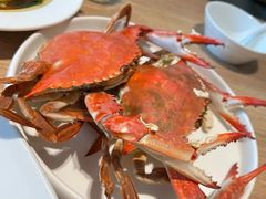 -连鹭海鲜·海肠捞饭·海胆饭(星海店)