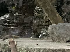 -广东大峡谷