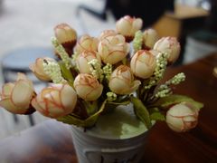 -SWSW三味蔬屋(南泉路店)