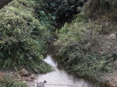 -黄埔油麻山森林公园