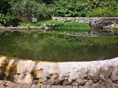-成都市活水公园