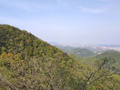 -杭州半山国家森林公园