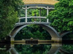 -荔枝公园(福田区)