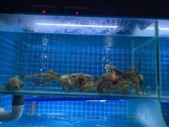 -初蓉丨遇见新川菜(亲贤街荣耀店)