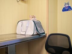 -申普宠物医院·心脏介入·心血管微创(总院)
