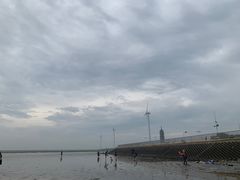-奉贤海滩
