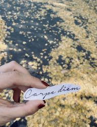 -飛凡TATTOO纹身•原创